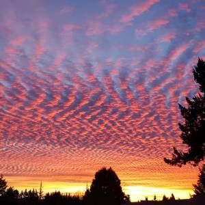 Meet your Posher, Lidia